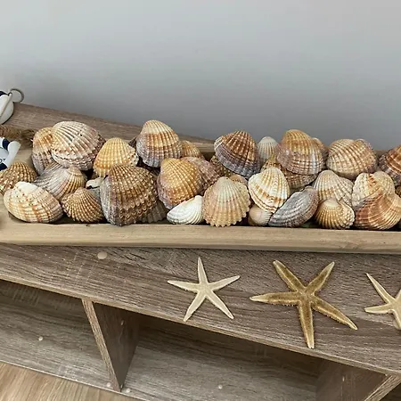 L Auvetia 150 Circuit 24 H * Arnage