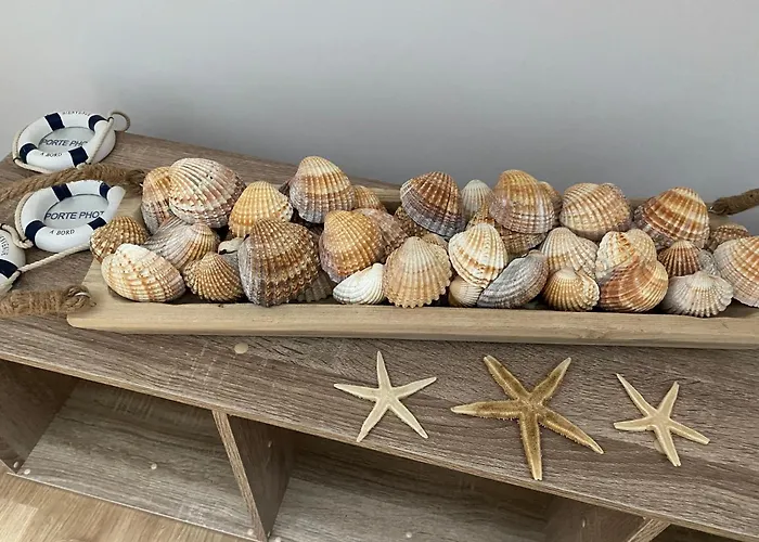 L Auvetia 150 Circuit 24 H * Arnage